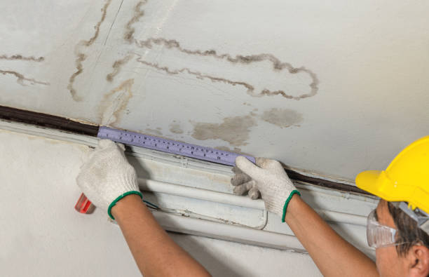 Reliable Water Extraction contractor in Spring Hill, KS by Water Damage Irwin